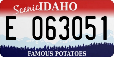 ID license plate E063051