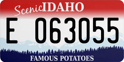 ID license plate E063055