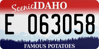 ID license plate E063058