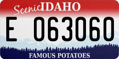 ID license plate E063060
