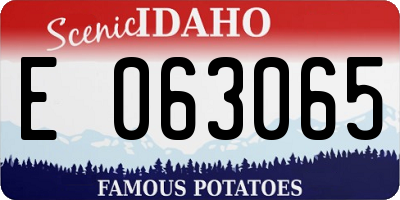 ID license plate E063065