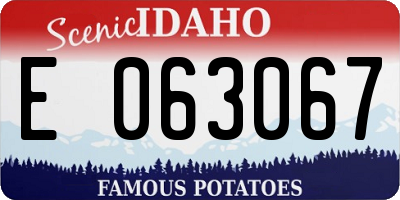 ID license plate E063067