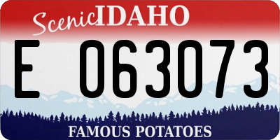 ID license plate E063073