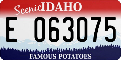 ID license plate E063075