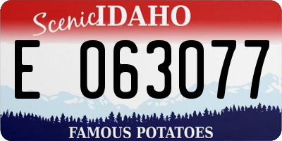 ID license plate E063077