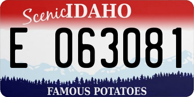 ID license plate E063081