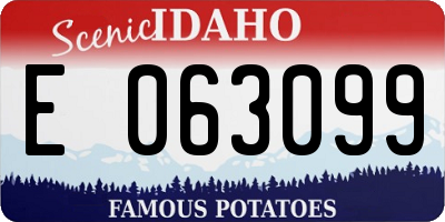 ID license plate E063099