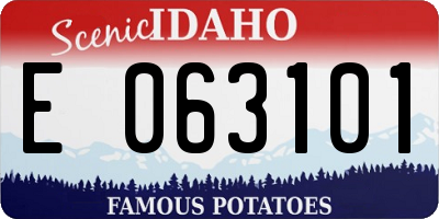 ID license plate E063101