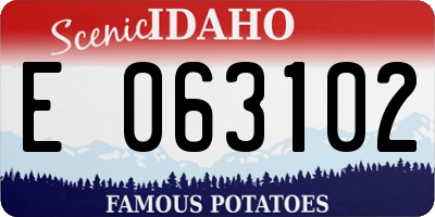ID license plate E063102