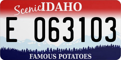 ID license plate E063103