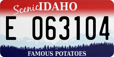 ID license plate E063104
