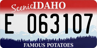 ID license plate E063107