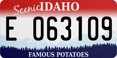 ID license plate E063109