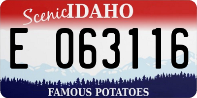 ID license plate E063116