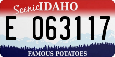 ID license plate E063117