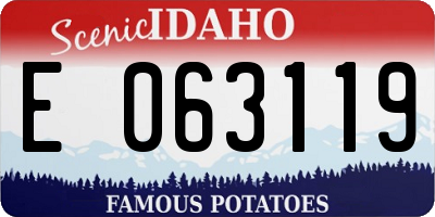 ID license plate E063119