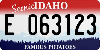 ID license plate E063123