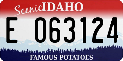 ID license plate E063124