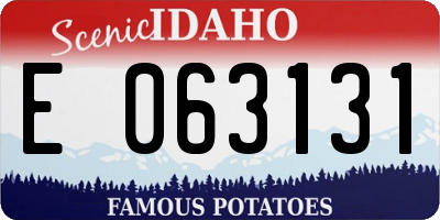 ID license plate E063131