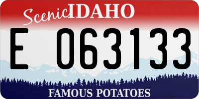 ID license plate E063133