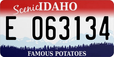 ID license plate E063134
