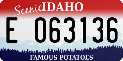 ID license plate E063136
