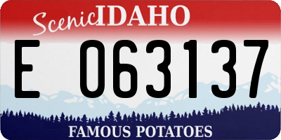 ID license plate E063137