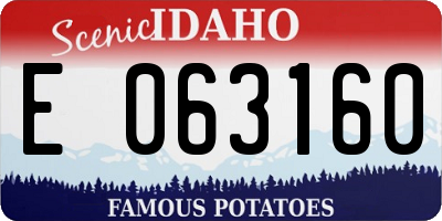 ID license plate E063160