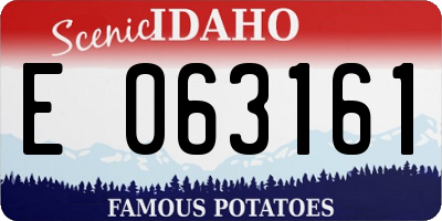 ID license plate E063161