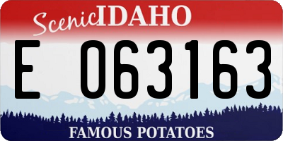 ID license plate E063163