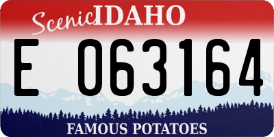 ID license plate E063164