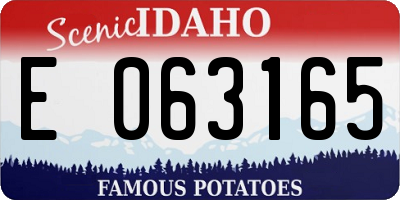ID license plate E063165