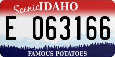 ID license plate E063166