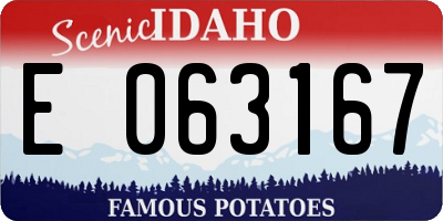 ID license plate E063167