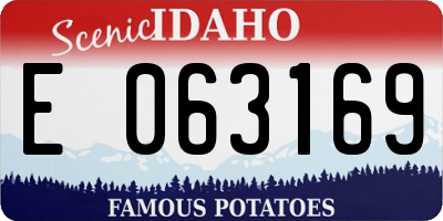 ID license plate E063169