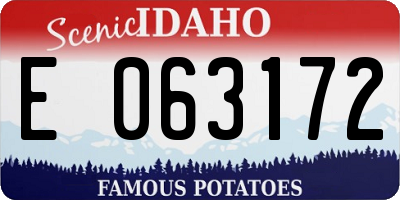ID license plate E063172