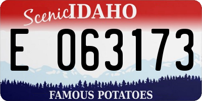 ID license plate E063173