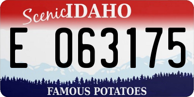 ID license plate E063175