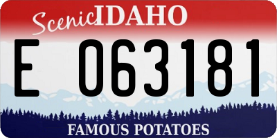 ID license plate E063181