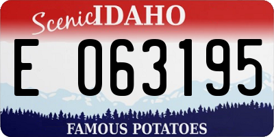 ID license plate E063195
