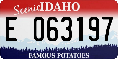 ID license plate E063197