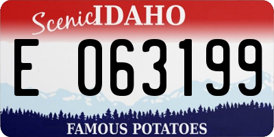 ID license plate E063199