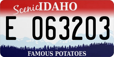 ID license plate E063203