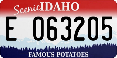 ID license plate E063205