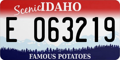 ID license plate E063219