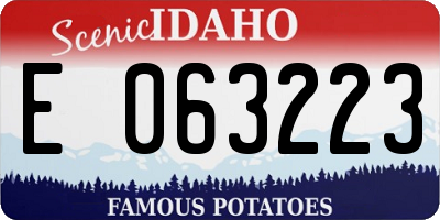 ID license plate E063223