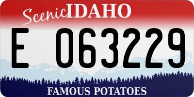 ID license plate E063229
