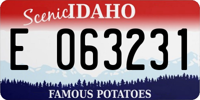 ID license plate E063231