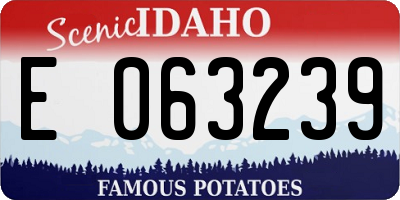 ID license plate E063239
