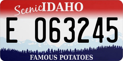 ID license plate E063245